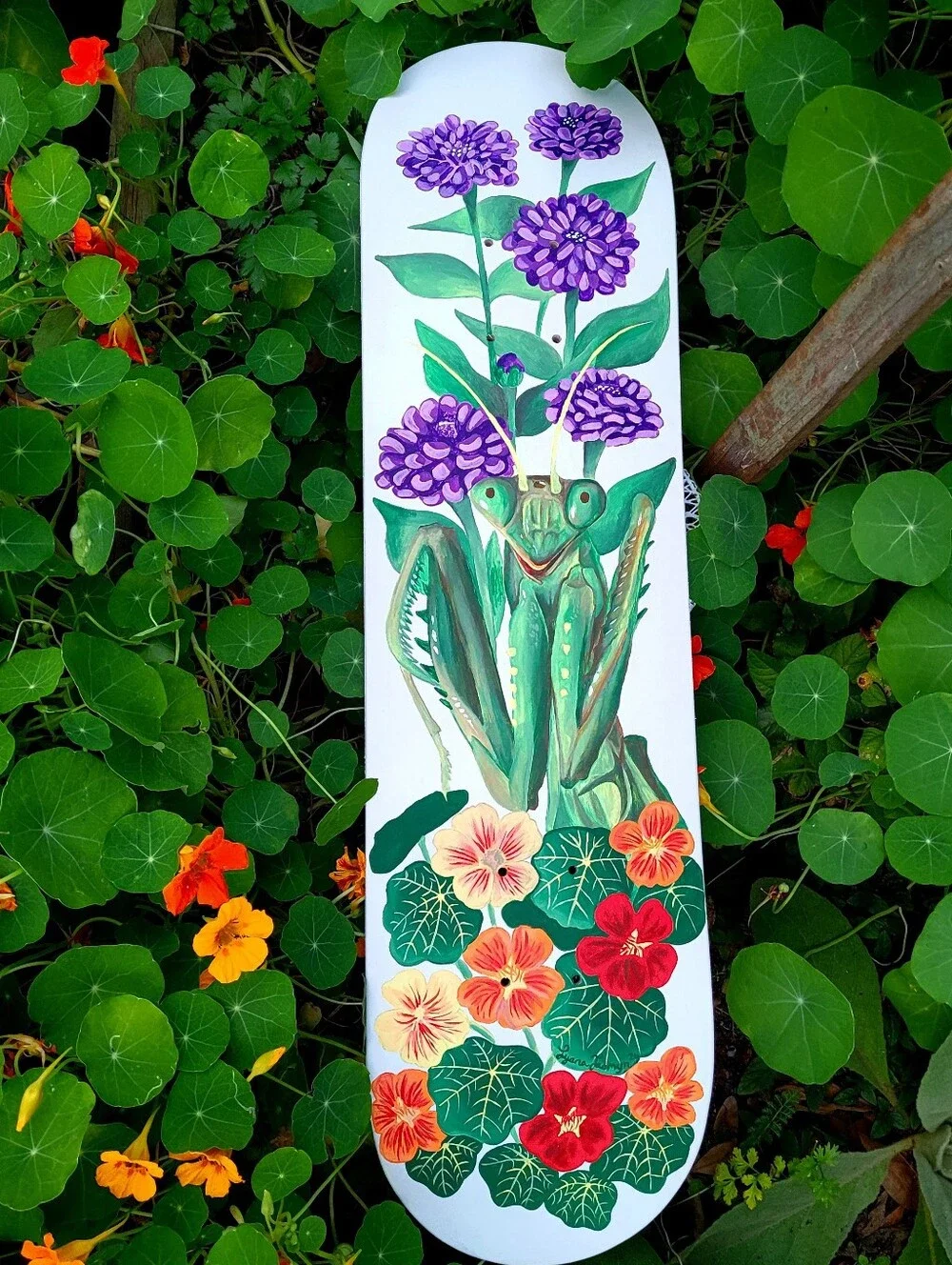 Hand-Painted Praying Mantis Wall Art - Green & Purple